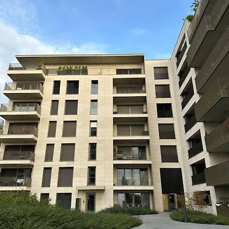 Beautiful High Standard *