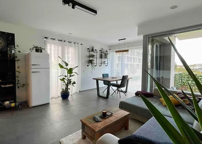 Beautiful High Standard